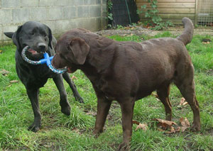 Mother and Daughter playing