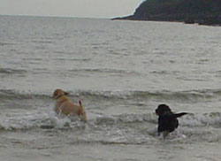 Some of the Arghishalee gang on the beach